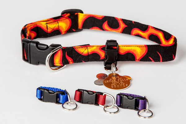 Tag holders for collars