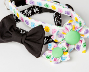 Bow Ties and Flower Ties on Collars