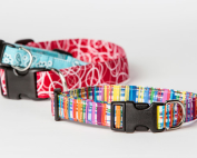 Dog Collars