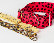 Martingale Collars